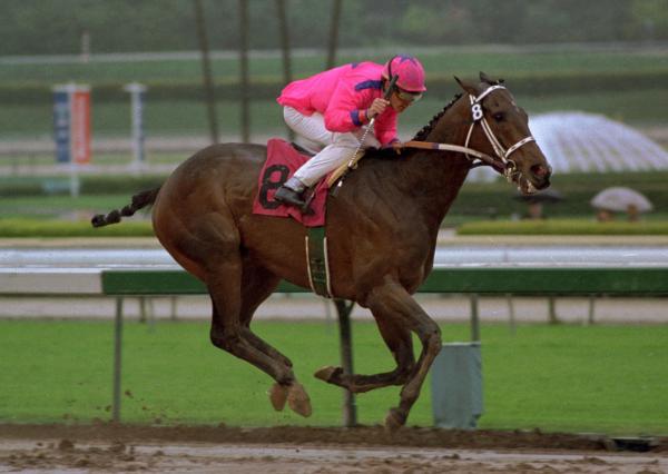 Budroyale racing in the hot pink Sengara colours